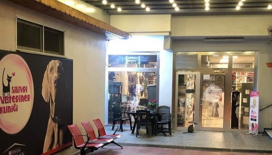 Silivri veteriner kliniği pergola uygulaması